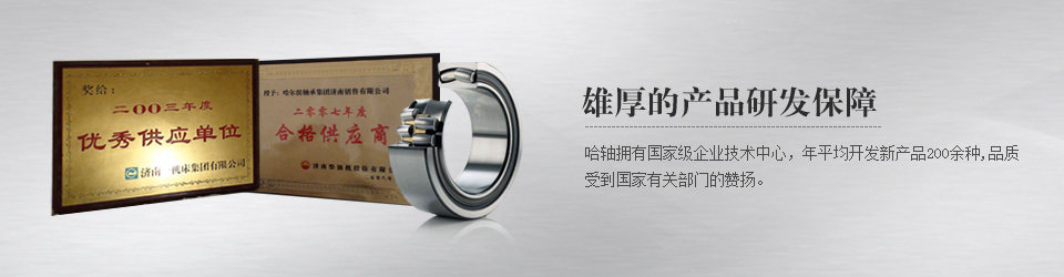 哈軸濟南銷售有限公司滾動軸承，深溝球軸承